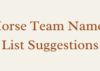 100+ Best Horse Team Names for Riders, Racers, and Dreamers