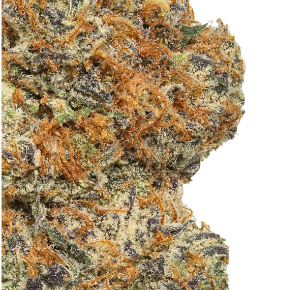 What Is the Cadillac Rainbow Flower & How to Buy a Good One for You?