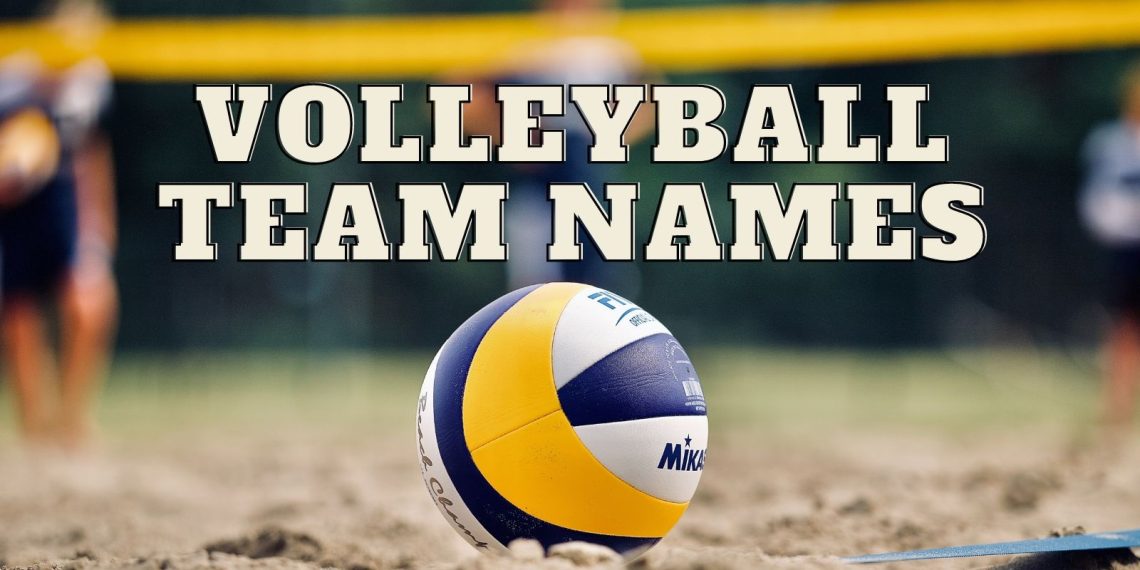Top 15 volleyball team names ideas unique You Need To Know