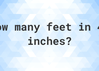 How to Convert 43 Inches in Feet – Quick and Accurate Answer