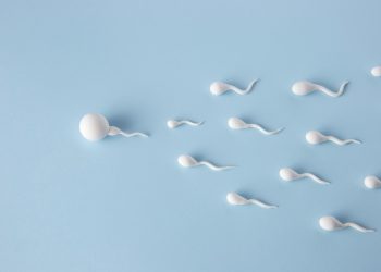 Can Sperm Travel Through Clothes? What Science Really Says