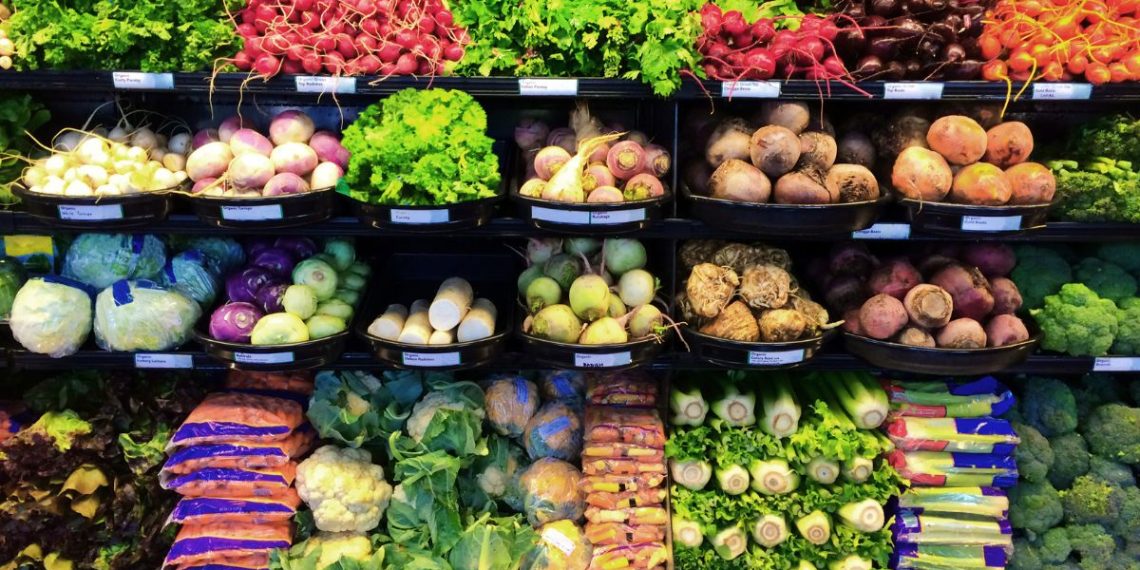 Pest Control in Grocery Stores: Essential Strategies for Maintaining Food Safety