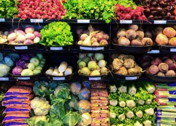 Pest Control in Grocery Stores: Essential Strategies for Maintaining Food Safety