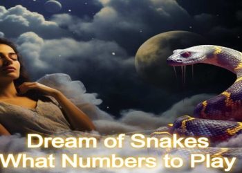 Dream of Snakes: What Numbers to Play Based on Your Dream