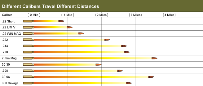  How Far Does a 22 Bullet Travel? Distance & Real-World Tests 