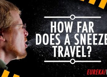 How Far Does a Sneeze Travel? Experts Reveal the Distance