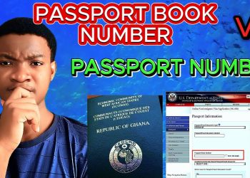 What Is a Travel Document Number and Where to Find It Easily