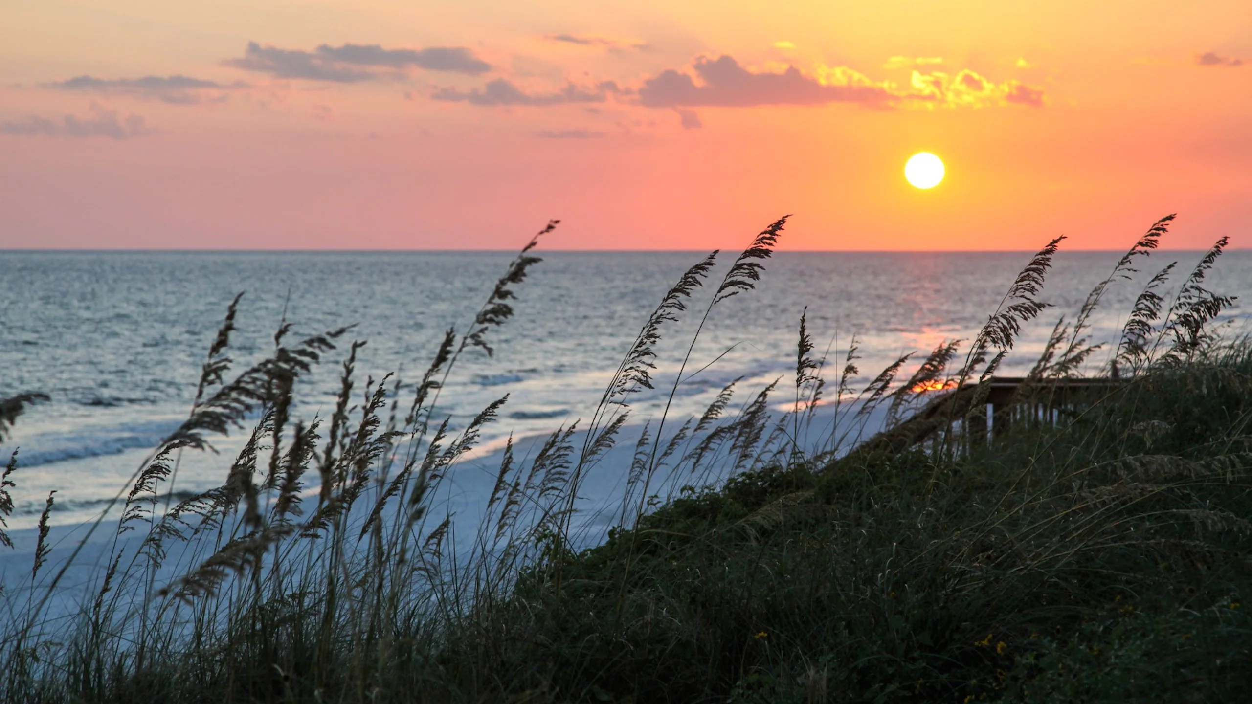 Clima en Santa Rosa Beach – See Weather by Season & Month