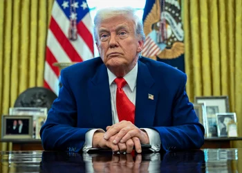 Does Triump Backk and Fore to Florida Everyday? Find Out Now