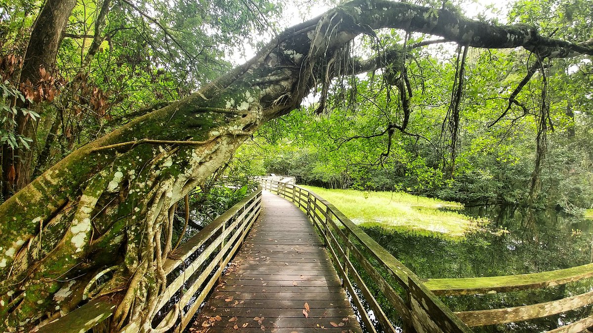 What to Do in Naples Florida Today? Best Things to Explore
