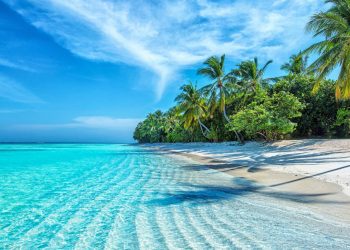 Best Beaches in Florida Panhandle for Families & Couples