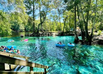 Springs Florida Panhandle: Ultimate Guide to Natural Springs